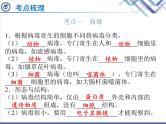 生物中考复习第20章细菌、真菌与病毒PPT课件