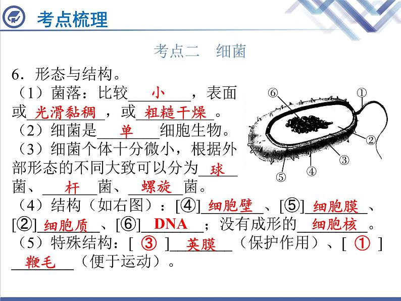 生物中考复习第20章细菌、真菌与病毒PPT课件05