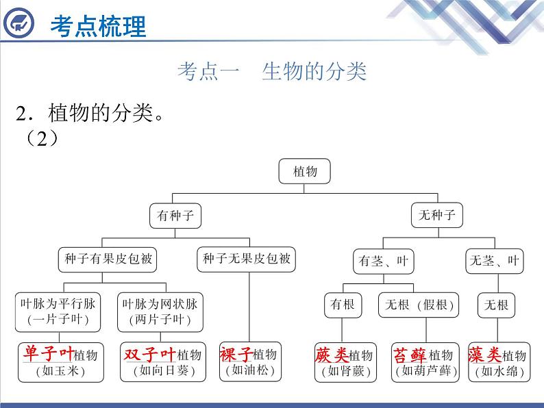 生物中考复习第21章生物的分类与生物的多样性PPT课件第3页