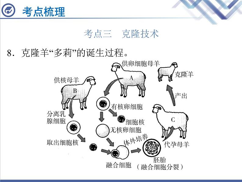 生物中考复习第25章生物技术PPT课件08