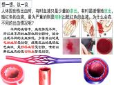 4-4-2血流的管道-血管2021--2022学年人教版生物七年级下册课件PPT