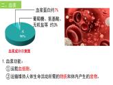 4-4-1流动的组织--血液课件2021-2022学年人教版生物七年级下册