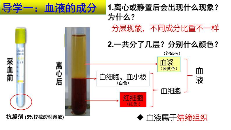 4-4-1流动的组织——血液课件2021-2022学年人教版生物七年级下册第4页