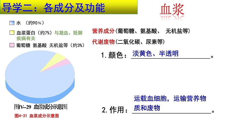 4-4-1流动的组织——血液课件2021-2022学年人教版生物七年级下册第5页