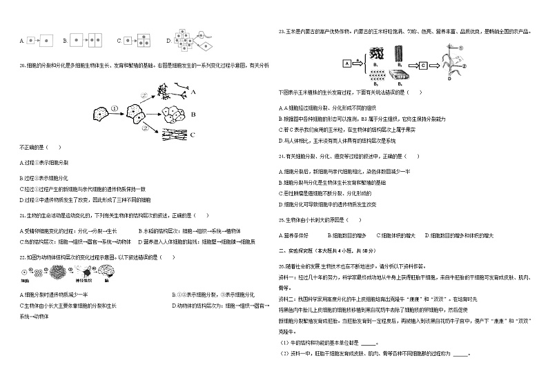 第4单元第8章生物体有相同的基本结构   单元自测卷  2020-2021学年苏科版七年级生物下册（word版含答案）第3页