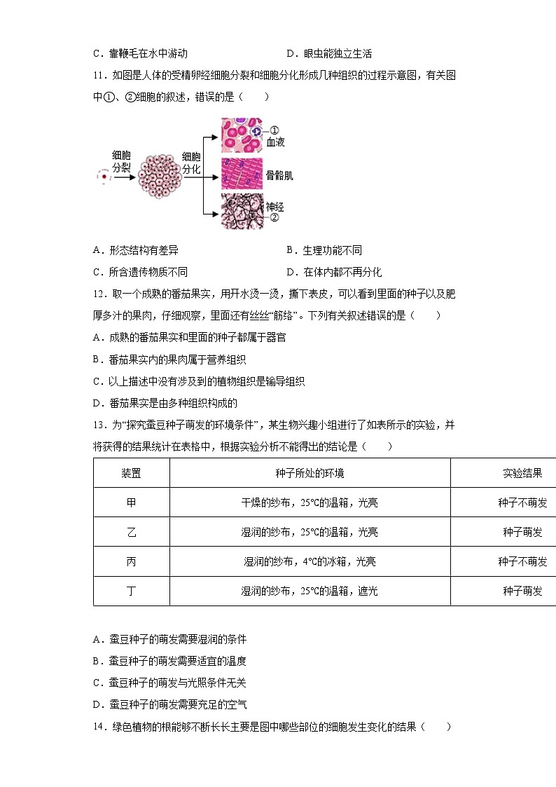 内蒙古包头市2021-2022学年七年级上学期期末生物试题（word版含答案）03