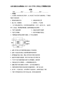 山东省泰安市肥城市2021-2022学年七年级上学期期末生物试题（word版含答案）