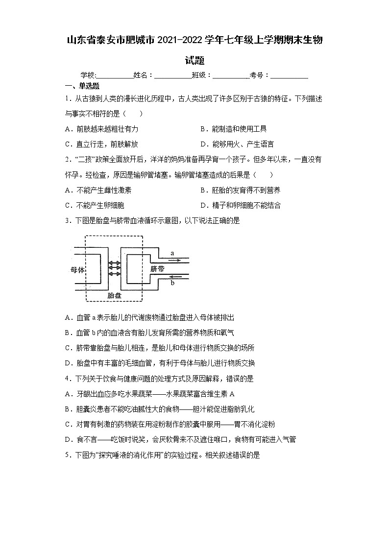 山东省泰安市肥城市2021-2022学年七年级上学期期末生物试题（word版含答案）第1页