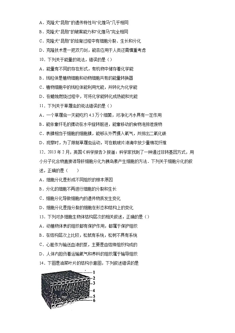山东省泰安市肥城市2021-2022学年六年级上学期期末生物试题（word版含答案）第3页