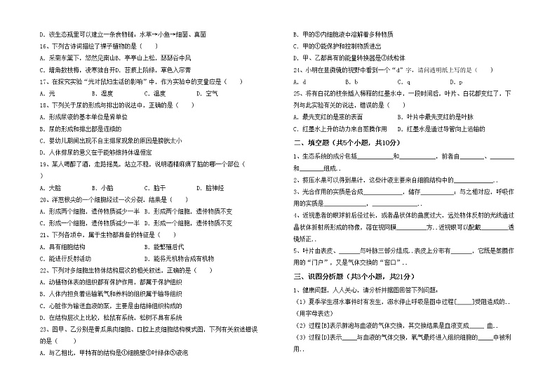 鲁教版七年级生物上册月考考试题02
