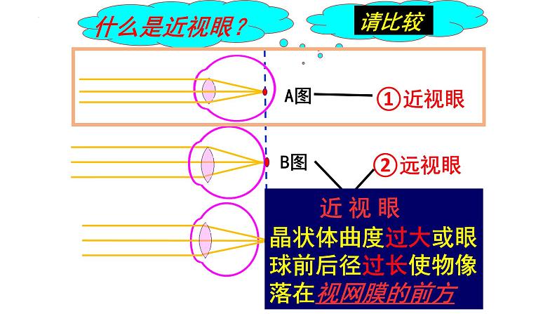 第四单元第六章人体生命活动的调节复习课件2021-2022学年人教版生物七年级下册第3页