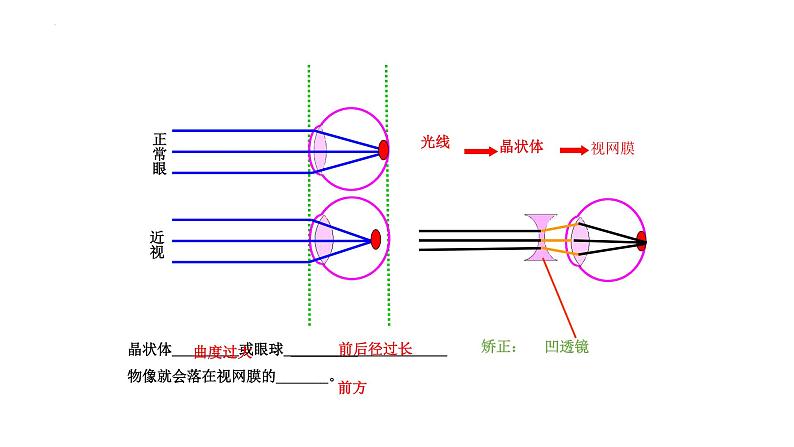 第四单元第六章人体生命活动的调节复习课件2021-2022学年人教版生物七年级下册第7页