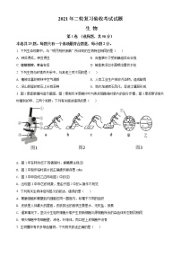 精品解析：2021年山东省临沂市蒙阴县中考二模生物试题（解析版+原卷版）