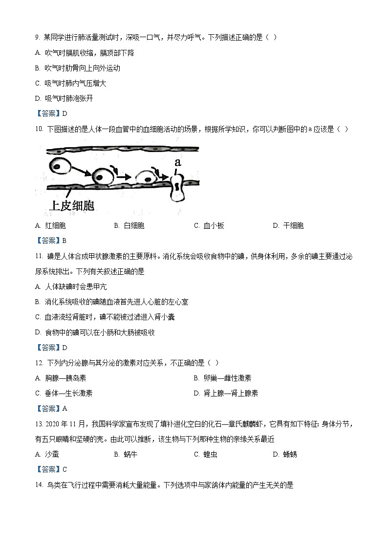2021年山东省临沂市兰山区中考二模生物试题及答案第3页