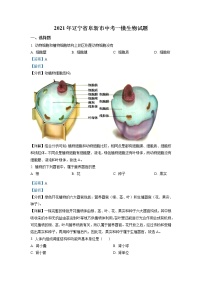 2021年辽宁省阜新市中考一模生物试题（含解析）