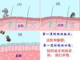 《免疫与计划免疫》课件