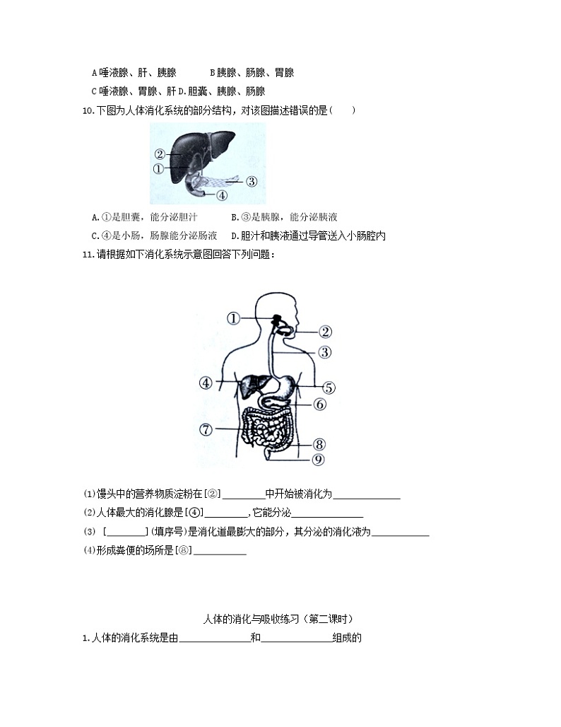 9.2人体的消化与吸收日清练习2021--2022学年苏教版生物七年级下册（word版含答案）02