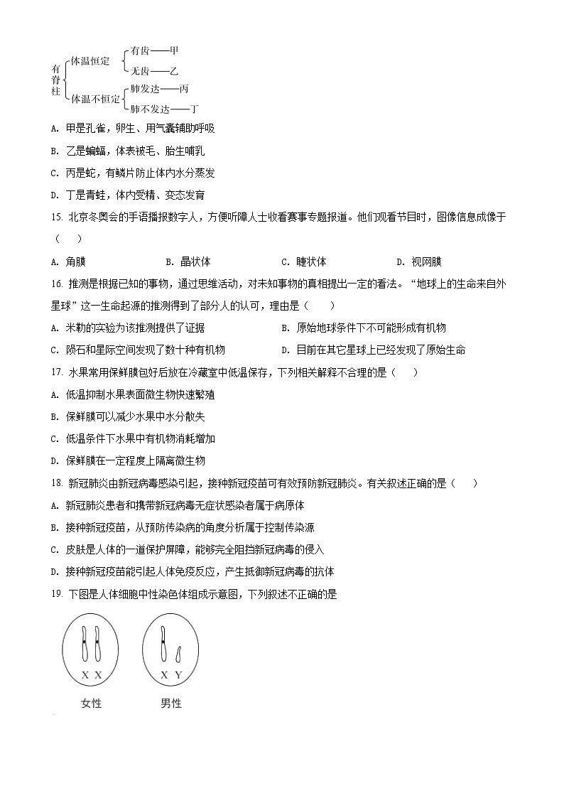 2022年河南省信阳市商城县中考一模生物试题（word版含答案）第3页