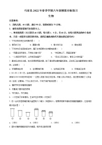 2022年云南省昭通市巧家县中考一模生物试题（word版含答案）