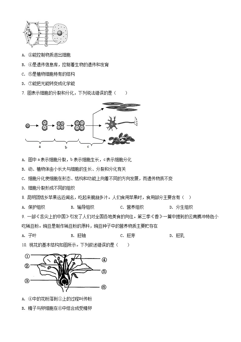 2022年云南省昭通市巧家县中考一模生物试题（word版含答案）02