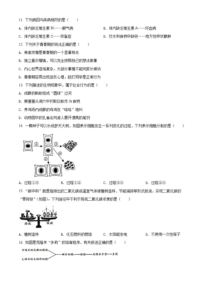 2022年陕西省渭南市富平县八年级中考一模生物试题（word版含答案）03