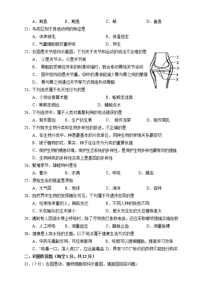 2022年湖南省凤凰县八年级下学期初中学情诊断生物试题（word版含答案）03