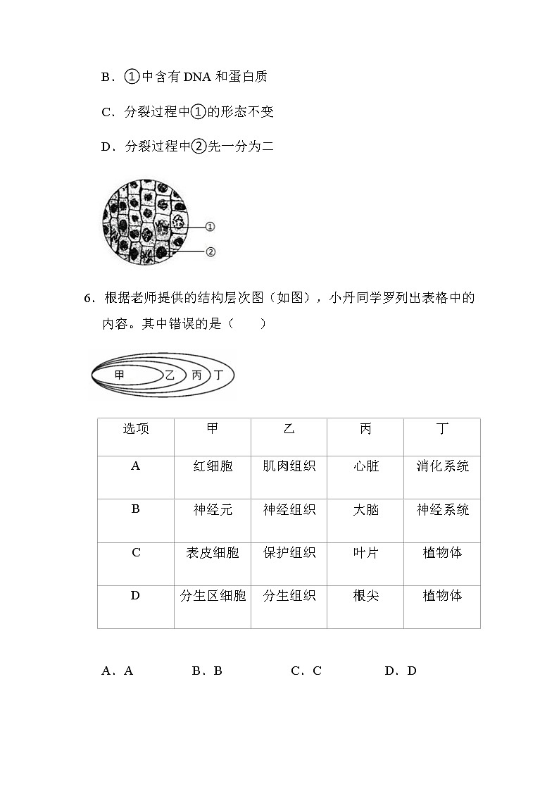 四川省江油市八校联考2021-2022学年八年级中考适应性考试生物试卷（word版含答案）第3页
