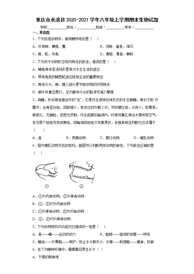 重庆市巫溪县2020-2021学年八年级上学期期末生物试题（word版含答案）第1页