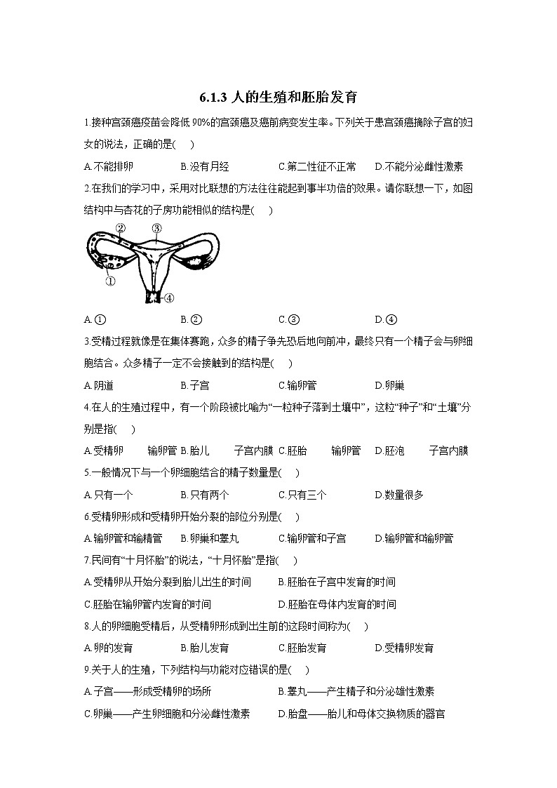 6.1.3人的生殖和胚胎发育-2021-2022学年生物冀教版八年级下册同步课时作业第1页