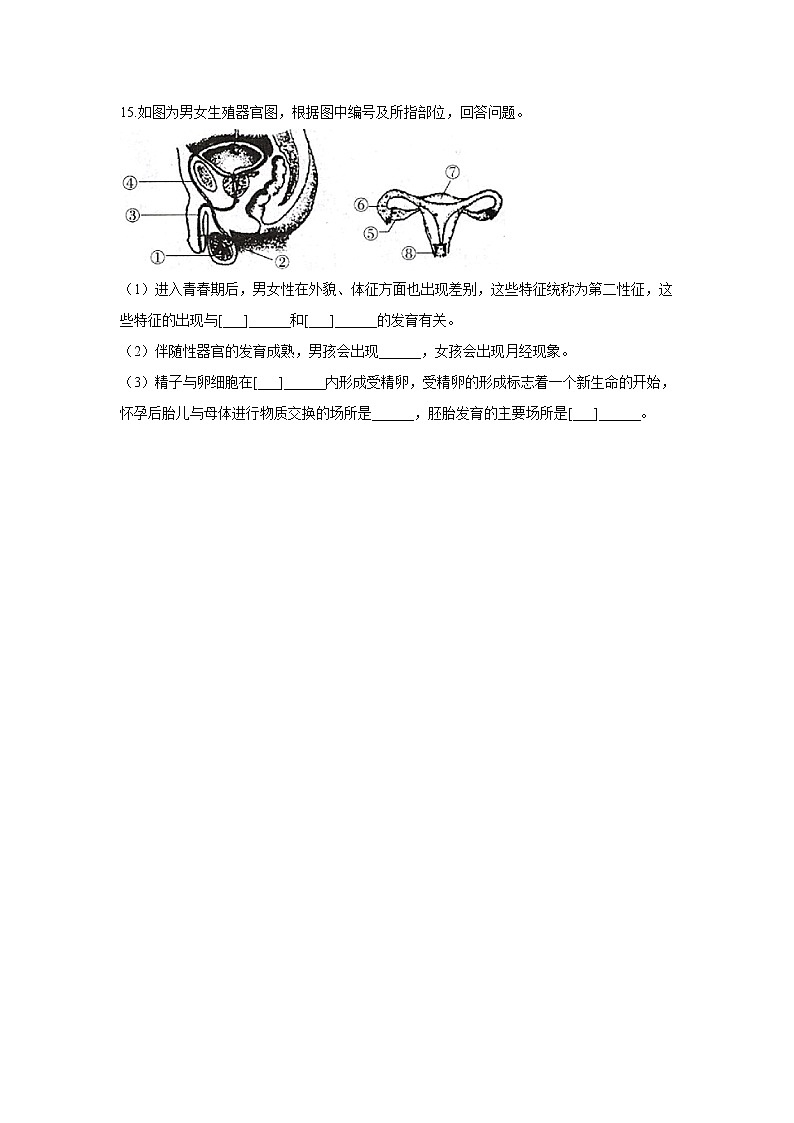 6.1.3人的生殖和胚胎发育-2021-2022学年生物冀教版八年级下册同步课时作业第3页