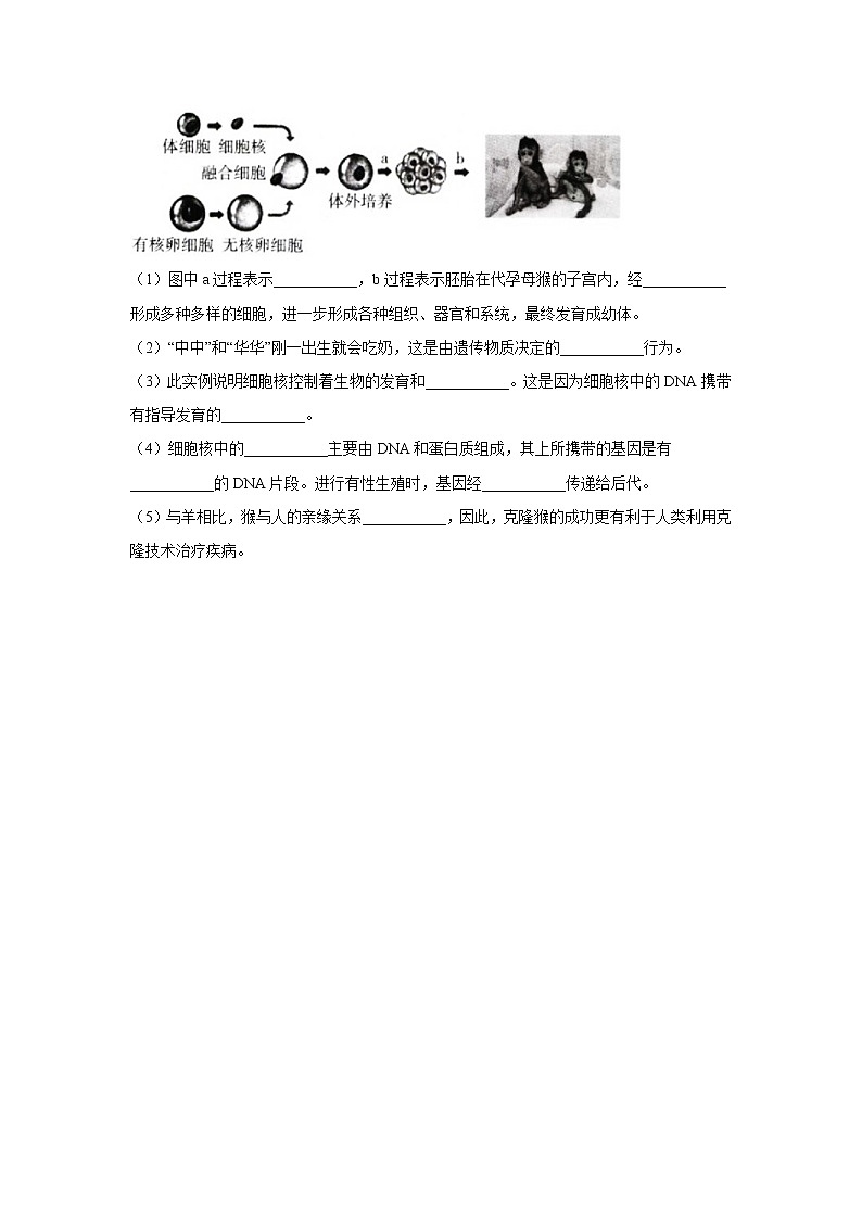 6.4现代生物技术-2021-2022学年生物冀教版八年级下册同步课时作业 练习03