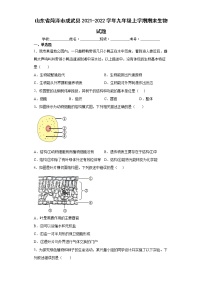 山东省菏泽市成武县2021-2022学年九年级上学期期末生物试题（word版含答案）