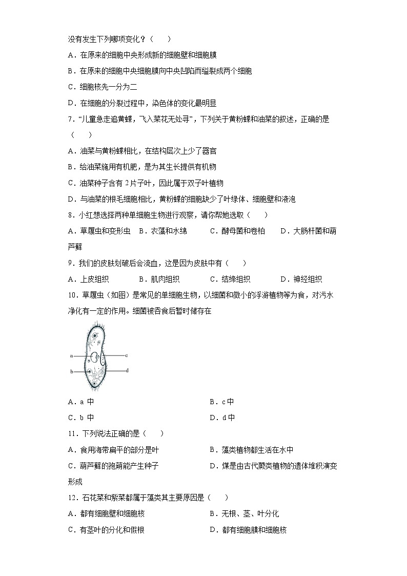 湖南省娄底市涟源市2021-2022学年七年级上学期期末生物试题（word版含答案）第2页