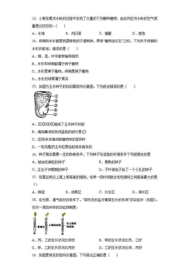 湖南省娄底市涟源市2021-2022学年七年级上学期期末生物试题（word版含答案）第3页