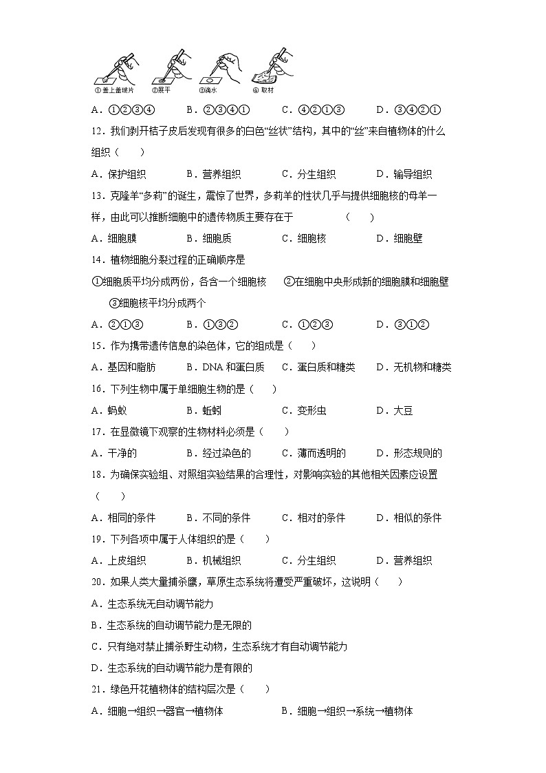 广西南宁市横县2021-2022学年七年级上学期期中生物试题（word版含答案）第2页