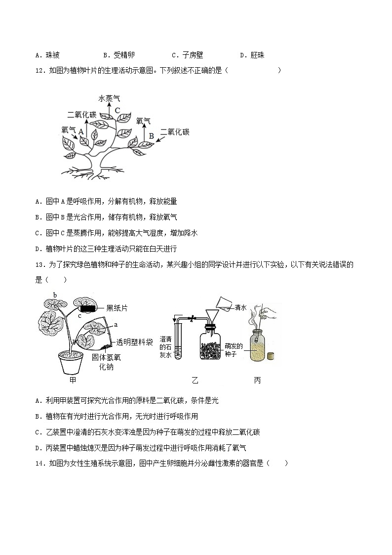 （全国通用）2022年中考生物第一次模拟考试（A4考试版）第3页