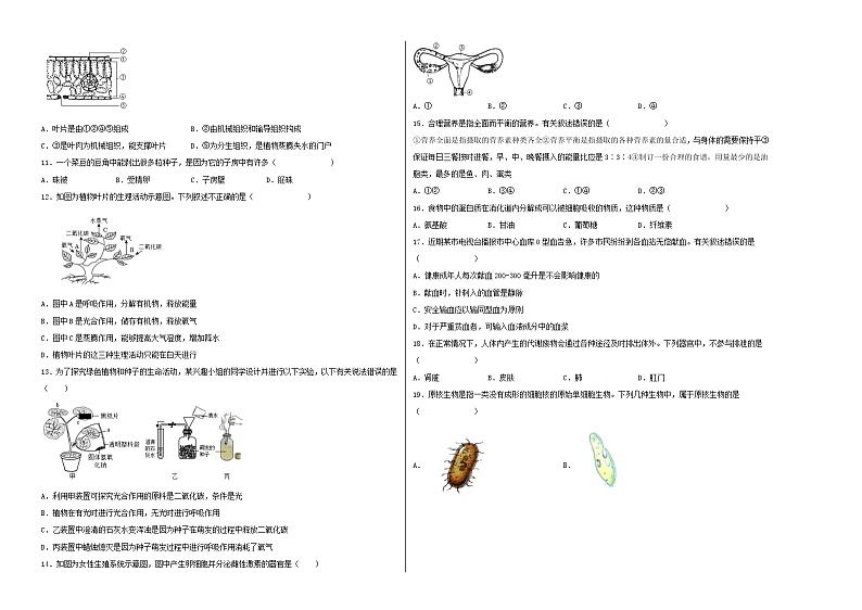 （全国通用）2022年中考生物第一次模拟考试（考试版）第2页