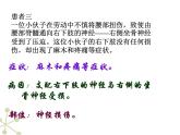 4.6.2神经系统的组成课件2021--2022学年人教版生物七年级下册