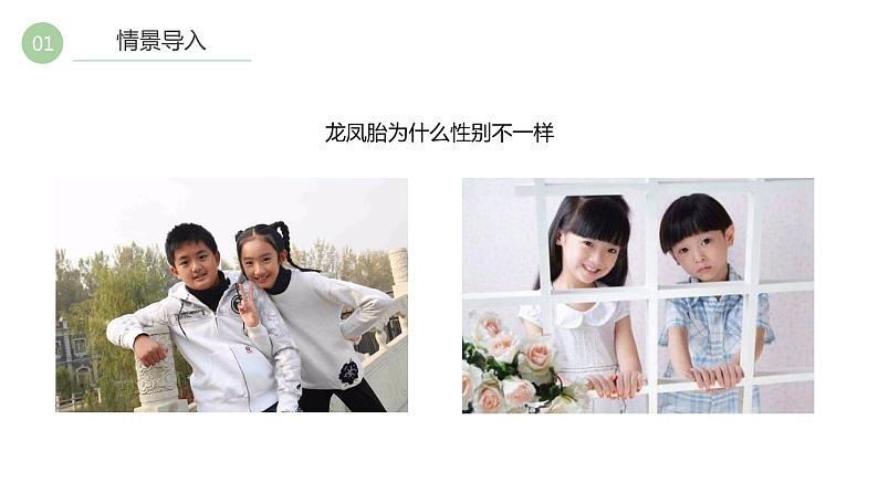 7.2.4人的性别遗传课件2021-2022学年人教版生物八年级下册第3页