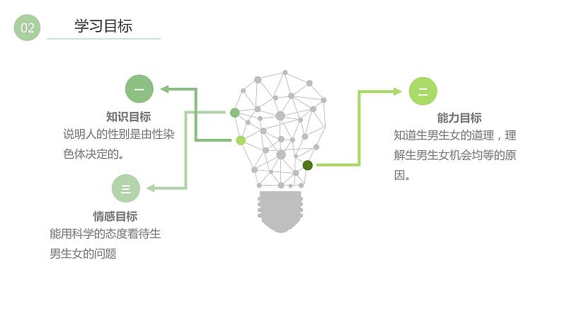 7.2.4人的性别遗传课件2021-2022学年人教版生物八年级下册第4页
