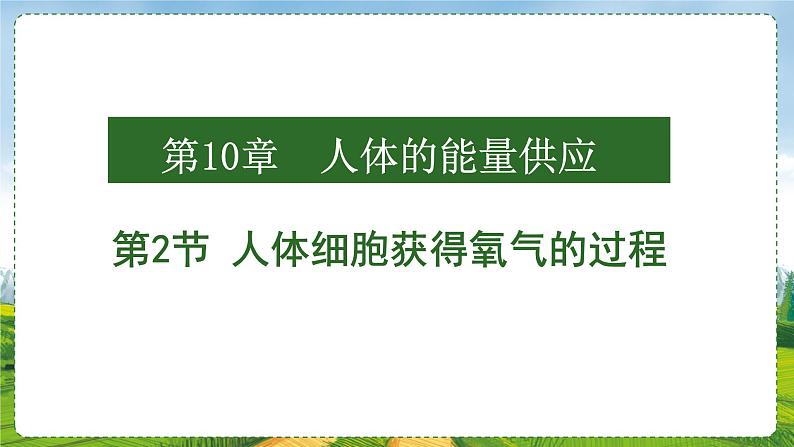 10.2.人体细胞获得氧气的过程课件2021-2022学年北师大版生物七年级下册第1页