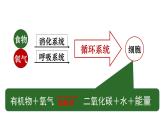 10.2.人体细胞获得氧气的过程课件2021-2022学年北师大版生物七年级下册