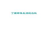 部编版《社会行为》课件