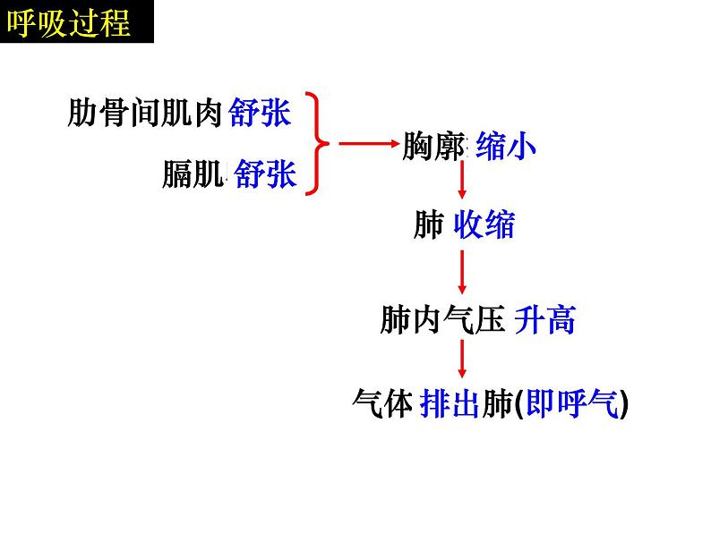 《发生在肺内的气体交换》课件第8页