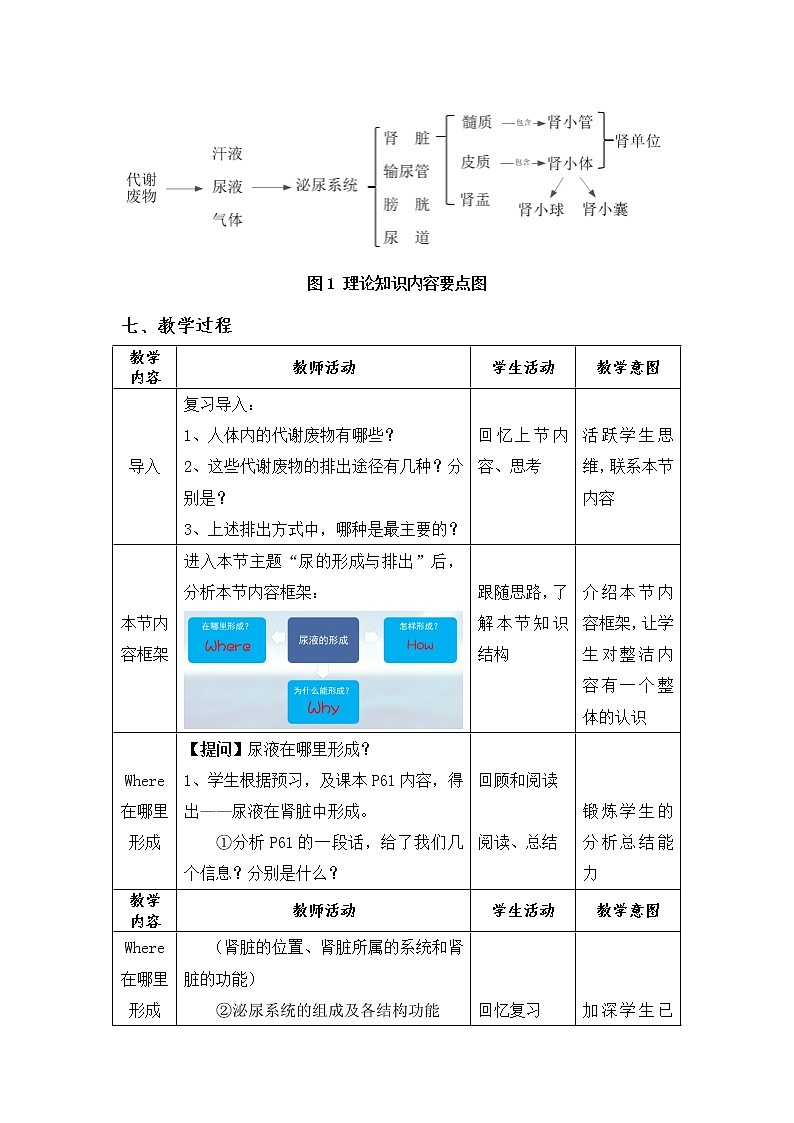 北师大版生物七年级下册 第11章 第2节 尿的形成与排出（教案）第3页