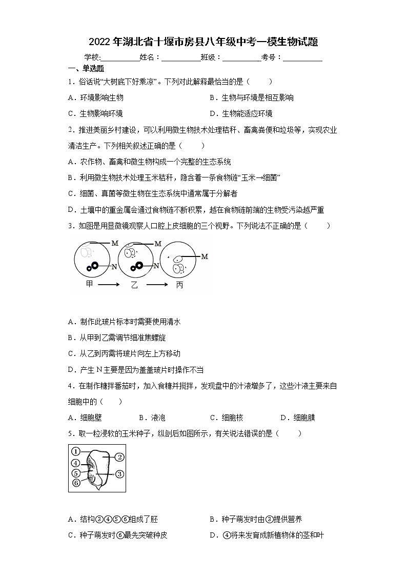 2022年湖北省十堰市房县八年级中考一模生物试题（word版含答案）第1页