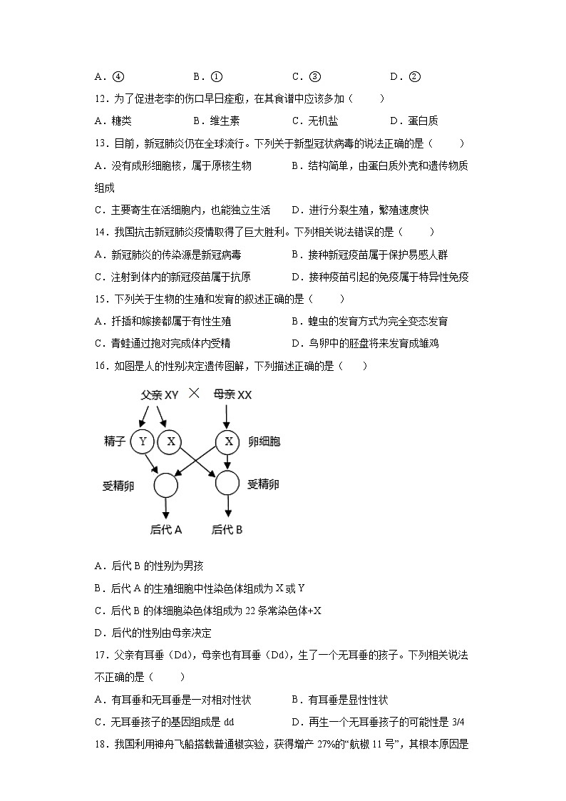 2022年湖北省十堰市房县八年级中考一模生物试题（word版含答案）第3页
