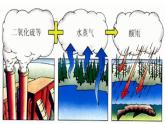 《探究环境污染对生物的影响》课件