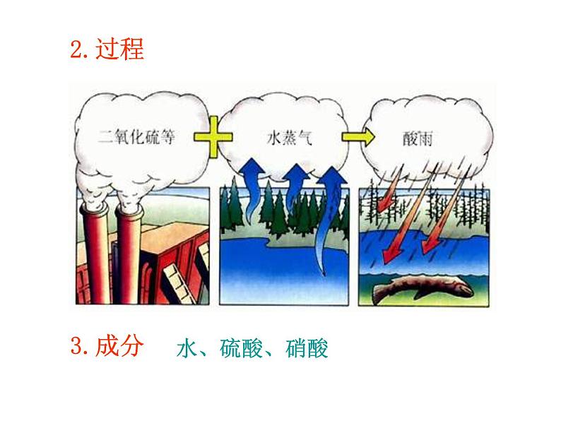 《探究环境污染对生物的影响》课件07