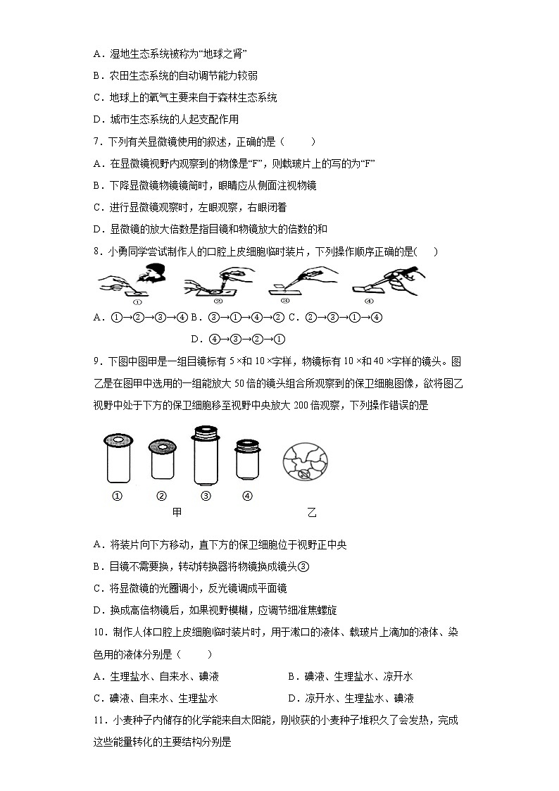 广东省河源市江东新区2021-2022学年七年级上学期期末生物试题(word版含答案)第2页